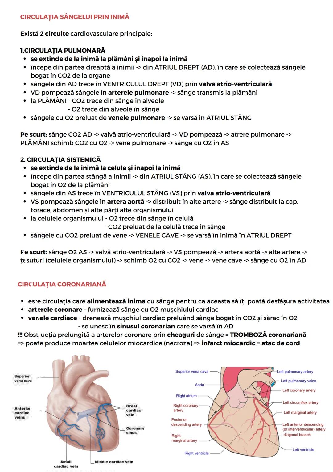 --- OCR Start ---
SIST. CARDIOVASCULAR
* este responsabil de furnizarea nutrienților și a oxigenului către țesuturi
* responsabil de îndepăr