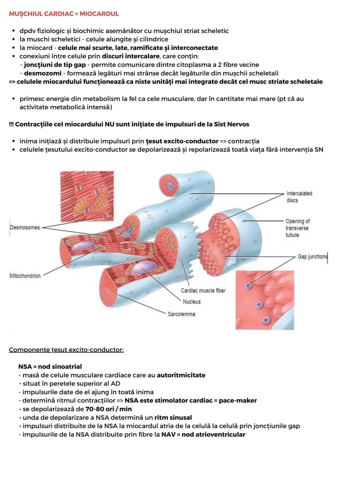 --- OCR Start ---
SIST. CARDIOVASCULAR
* este responsabil de furnizarea nutrienților și a oxigenului către țesuturi
* responsabil de îndepăr