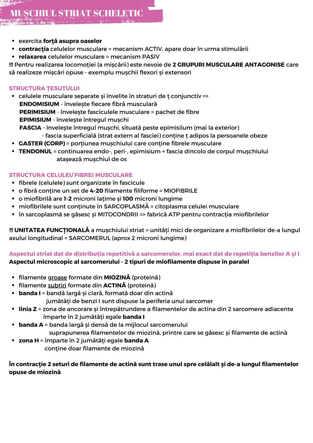 --- OCR Start ---
OASELE ȘI ARTICULAȚIILE
• sunt 206 în organismul uman
• osul este cel mai dur țesut conjunctiv
• oasele au rol de suport,