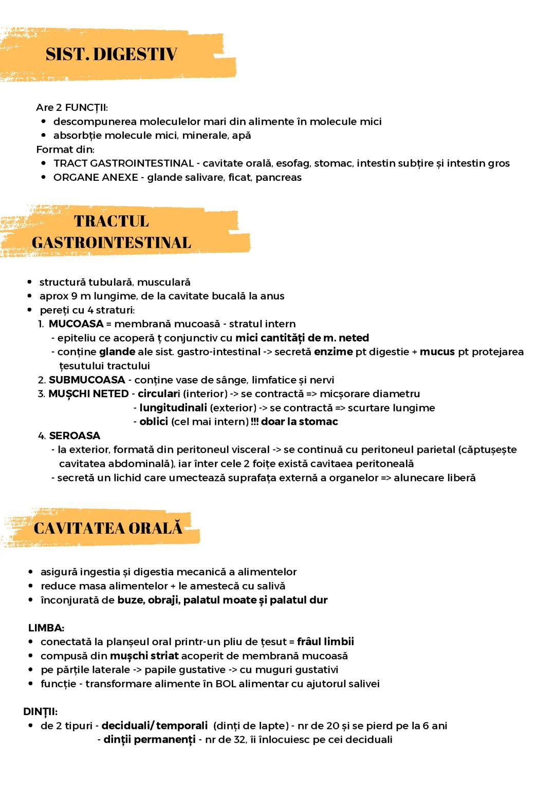 Sistemul digestiv Barrons