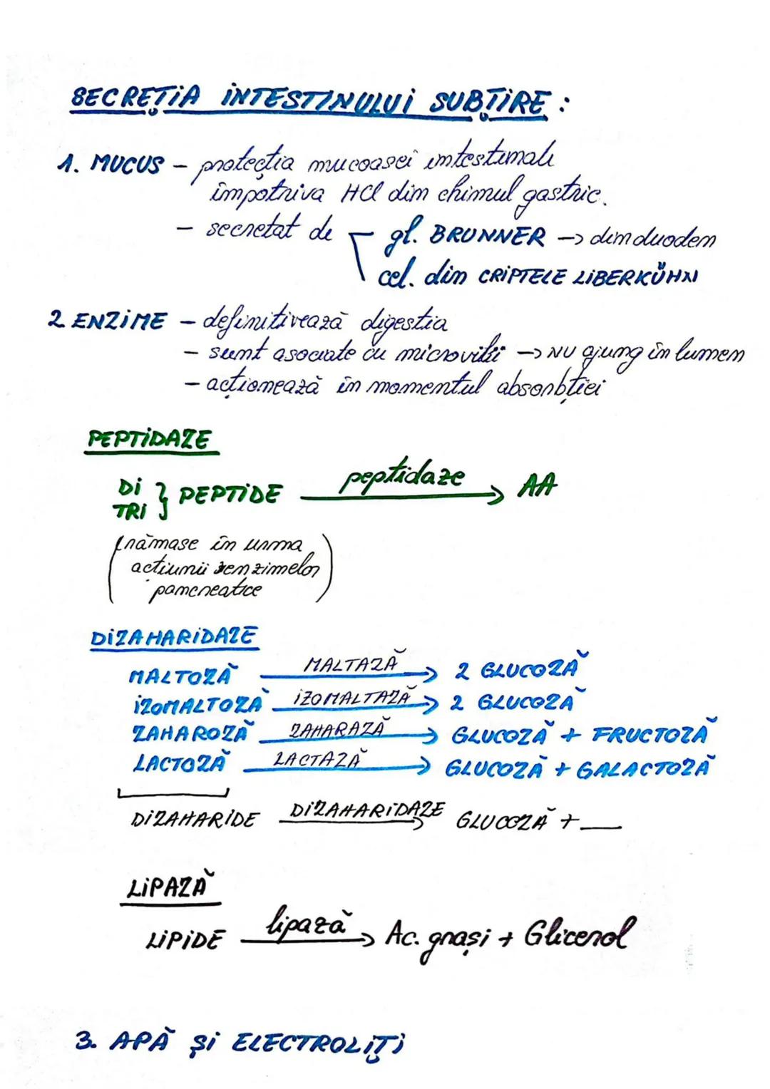 --- OCR Start ---
SIST. DIGESTIV
Are 2 FUNCŢII:
- descompunerea moleculelor mari din alimente în molecule mici
- absorbție molecule mici, mi