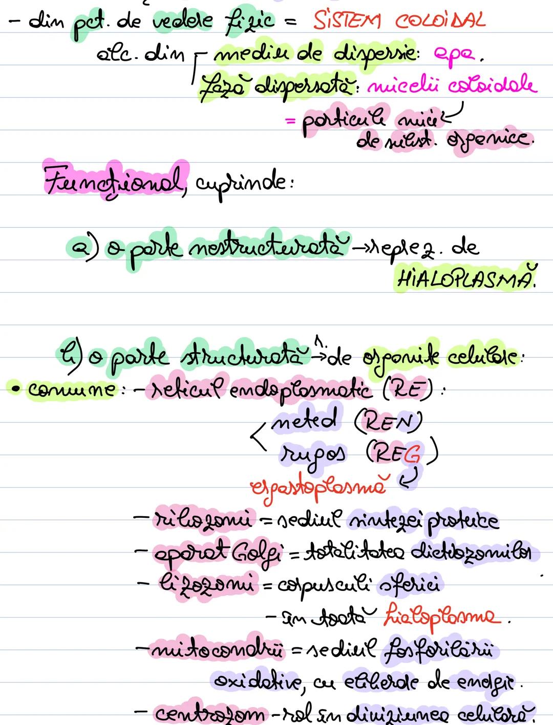 # Celula
- singură sau în grup.
= unitate structurale, functionale
pemetică a lumui ий.
Forma $\rightarrow$ det. de rolul celulei
() initial