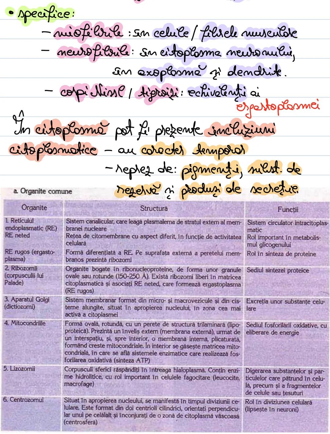 # Celula
- singură sau în grup.
= unitate structurale, functionale
pemetică a lumui ий.
Forma $\rightarrow$ det. de rolul celulei
() initial