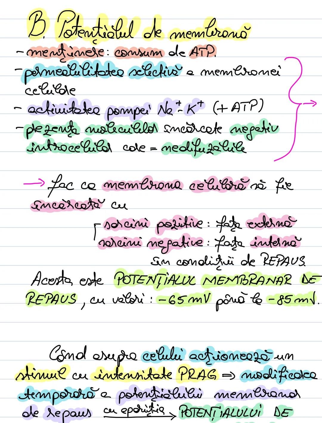B. Potentialul de memberonă
-mentinere: consum de ATP.
- permealulitates selective a membronci
celulde
- activitatea pompei Na+ K+ (+ATP)
-