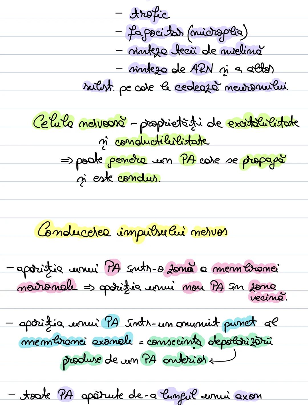 # A. Neuronul
= unitate morfofuncţională a SN.
- forma = variabilă :
- stelata (coarnele anterioare
ale MS)
- sferică sau ovalară (în gangl