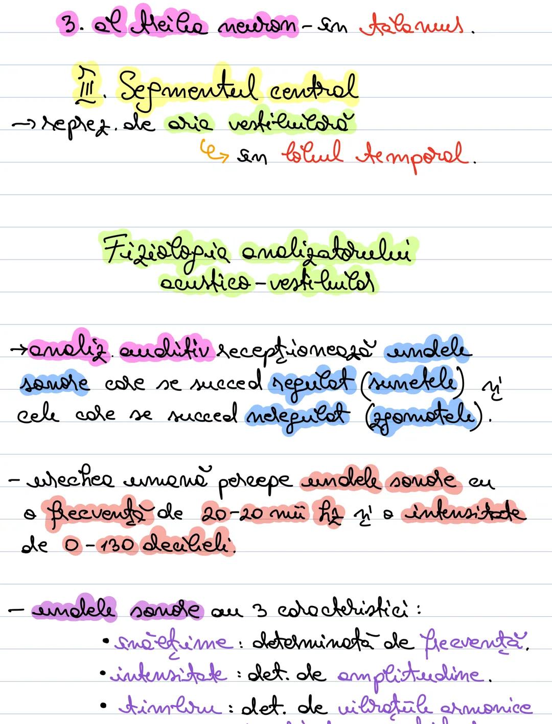 # Analizatorul acustico -
vestibular
- receptorii acustici si vestibulari la nivelul
urechii interne.
# Alcătuirea urechii:
ureche ureche i