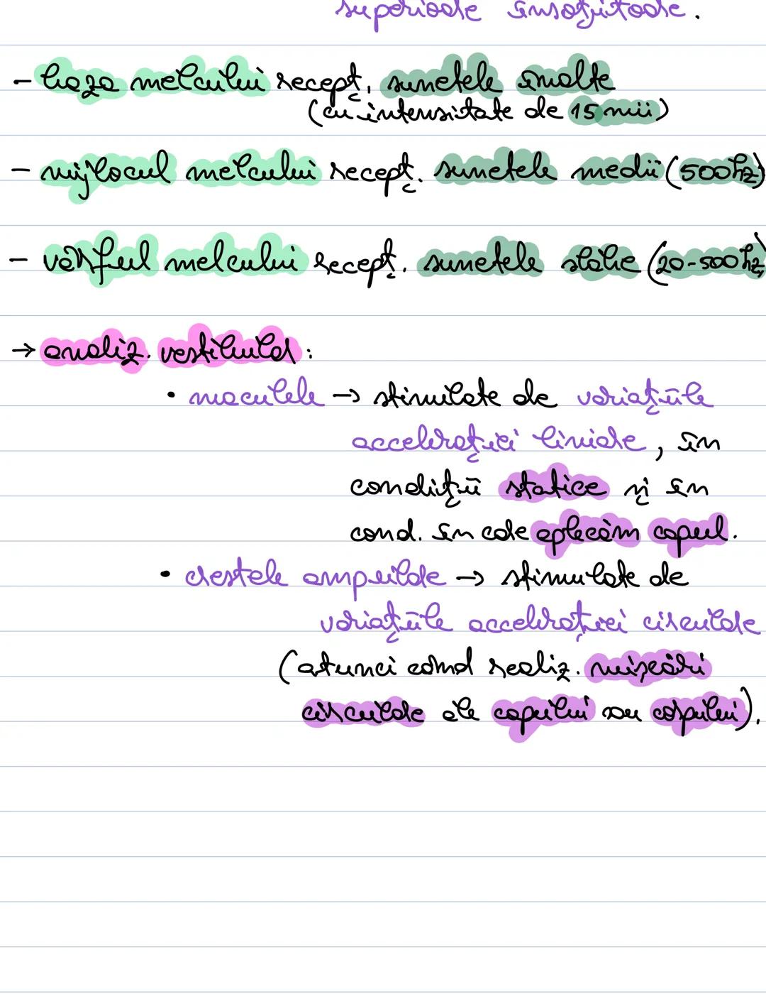 # Analizatorul acustico -
vestibular
- receptorii acustici si vestibulari la nivelul
urechii interne.
# Alcătuirea urechii:
ureche ureche i