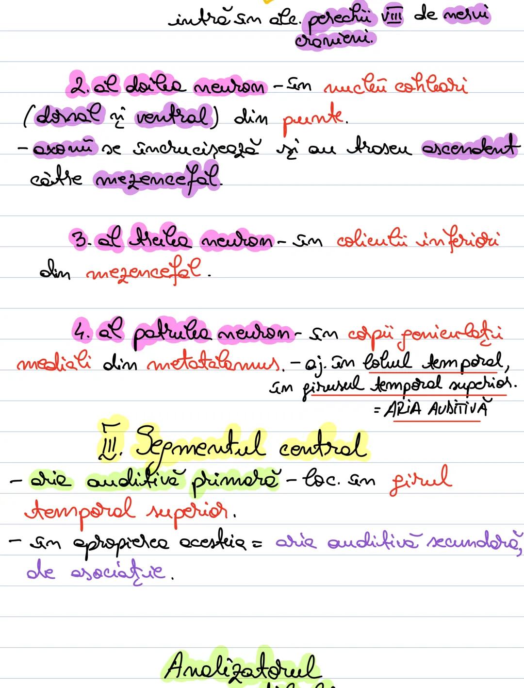 # Analizatorul acustico -
vestibular
- receptorii acustici si vestibulari la nivelul
urechii interne.
# Alcătuirea urechii:
ureche ureche i
