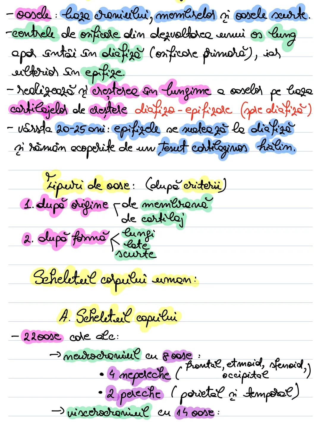 # Sistemul osos
Cap
Craniu
Coloana vertebrală
Vertebre cervicale
Mandibula
Vertebre toracice
Clavicula
Manubriu
Scapula
Stern
Coaste
Vert