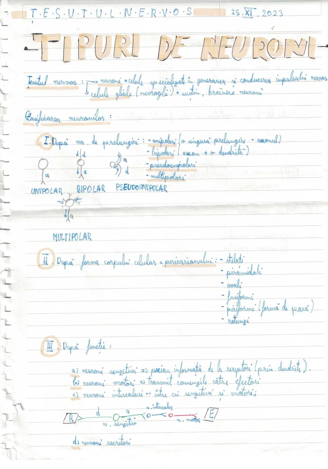 --- OCR Start ---
27.XH 2023
PROPRIETATILE
NEURONULUI
1. Excitabilitatea => Propritater neesanului de a generer influous nervas sub actiuma.