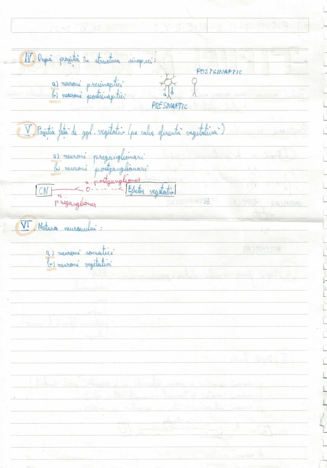 --- OCR Start ---
27.XH 2023
PROPRIETATILE
NEURONULUI
1. Excitabilitatea => Propritater neesanului de a generer influous nervas sub actiuma.