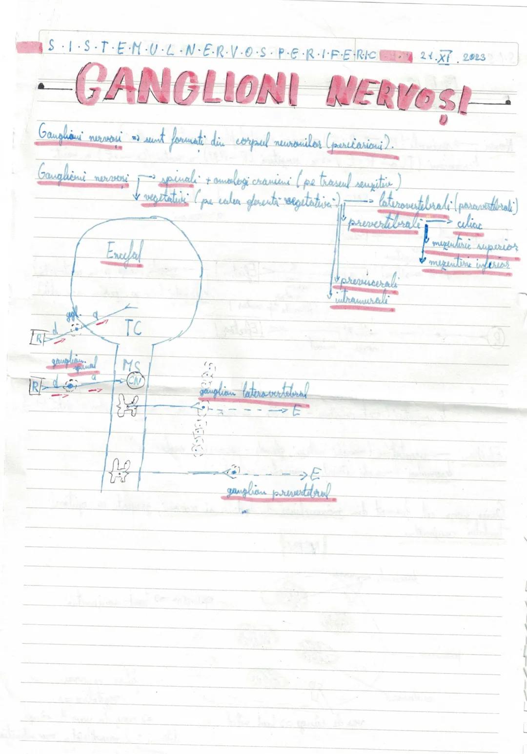 --- OCR Start ---
27.XH 2023
PROPRIETATILE
NEURONULUI
1. Excitabilitatea => Propritater neesanului de a generer influous nervas sub actiuma.