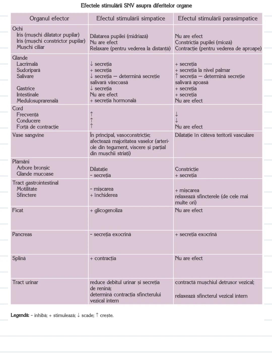 # Sist. Nervos Vegetativ
SNU form. din centrü nervon'
intronevraxial extraneuraxial
se află în relație cu orpanele
a còrd activitate o co