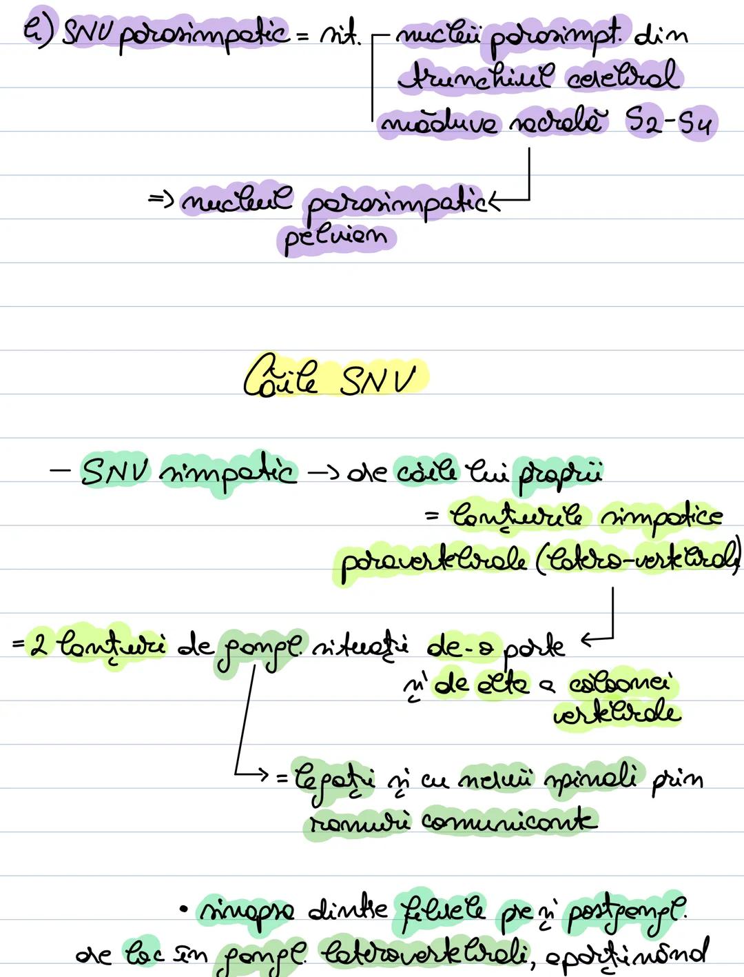 # Sist. Nervos Vegetativ
SNU form. din centrü nervon'
intronevraxial extraneuraxial
se află în relație cu orpanele
a còrd activitate o co