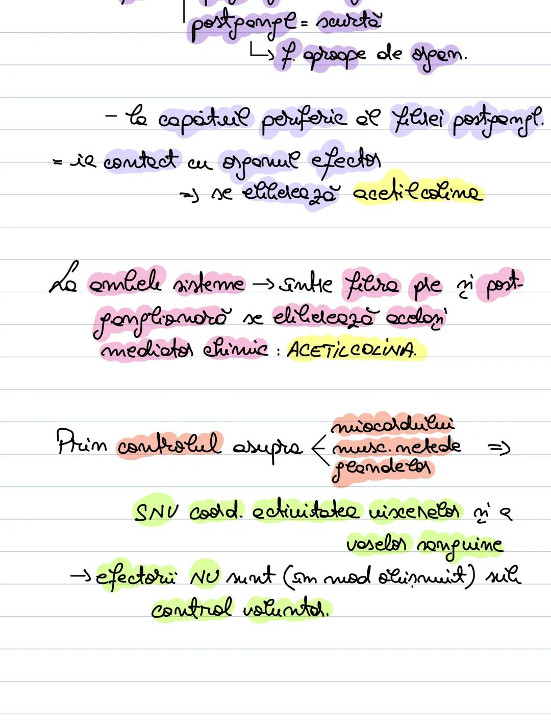 # Sist. Nervos Vegetativ
SNU form. din centrü nervon'
intronevraxial extraneuraxial
se află în relație cu orpanele
a còrd activitate o co