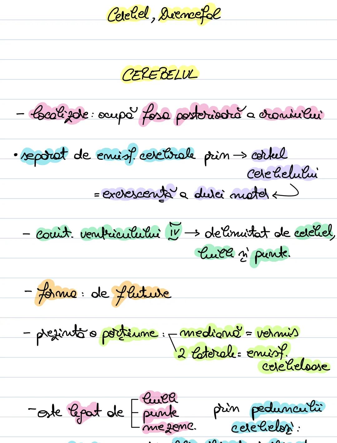 --- OCR Start ---
Celehel, Dvencefal
CEREBELUL
- localizde: ocupă fosa posterioară a craniului
• separat de emist. cerebrale prin → cortel
C