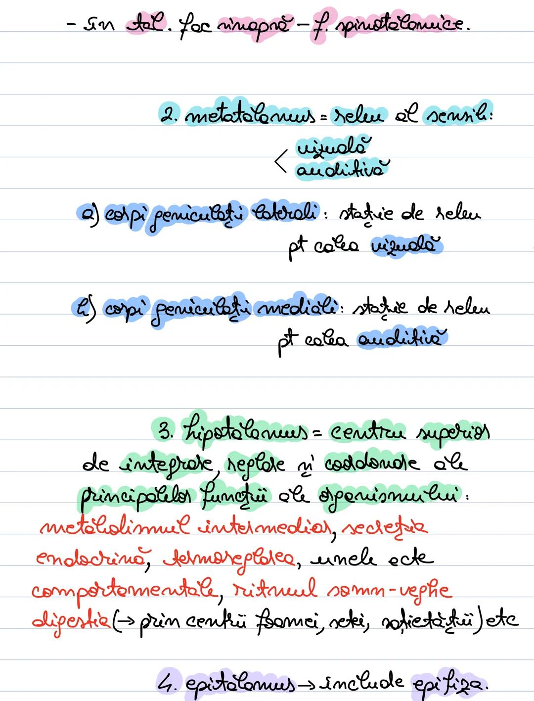 --- OCR Start ---
Celehel, Dvencefal
CEREBELUL
- localizde: ocupă fosa posterioară a craniului
• separat de emist. cerebrale prin → cortel
C