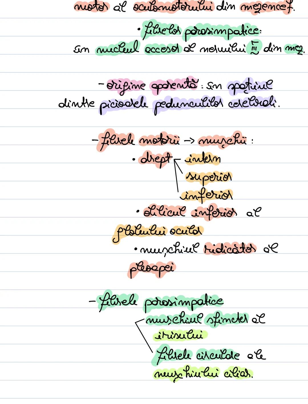 --- OCR Start ---
Trunchiul cerebral n'
Nerui cromieni
Encefatul trunchiul cerebral
cerehelul
emisferele cerebrale
mezencefel
Trunchiul cere