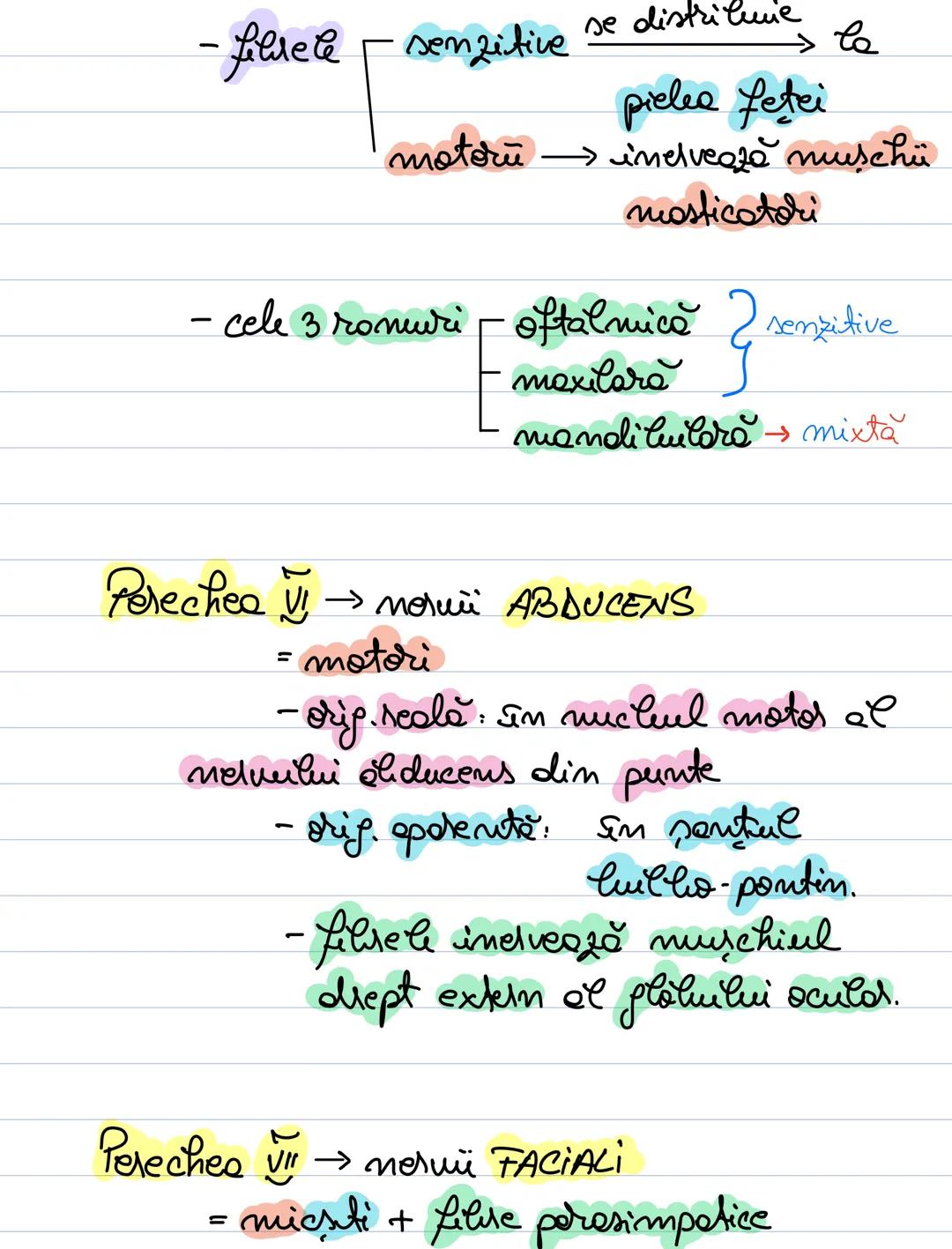 --- OCR Start ---
Trunchiul cerebral n'
Nerui cromieni
Encefatul trunchiul cerebral
cerehelul
emisferele cerebrale
mezencefel
Trunchiul cere
