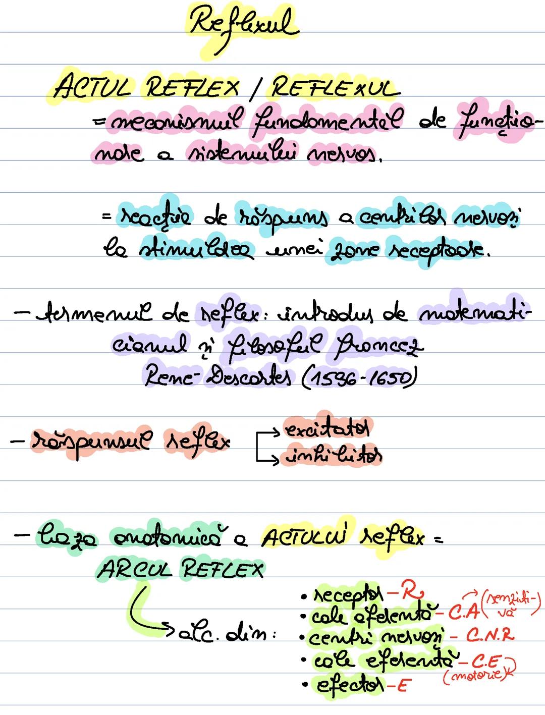 Reflexul. Actul reflex