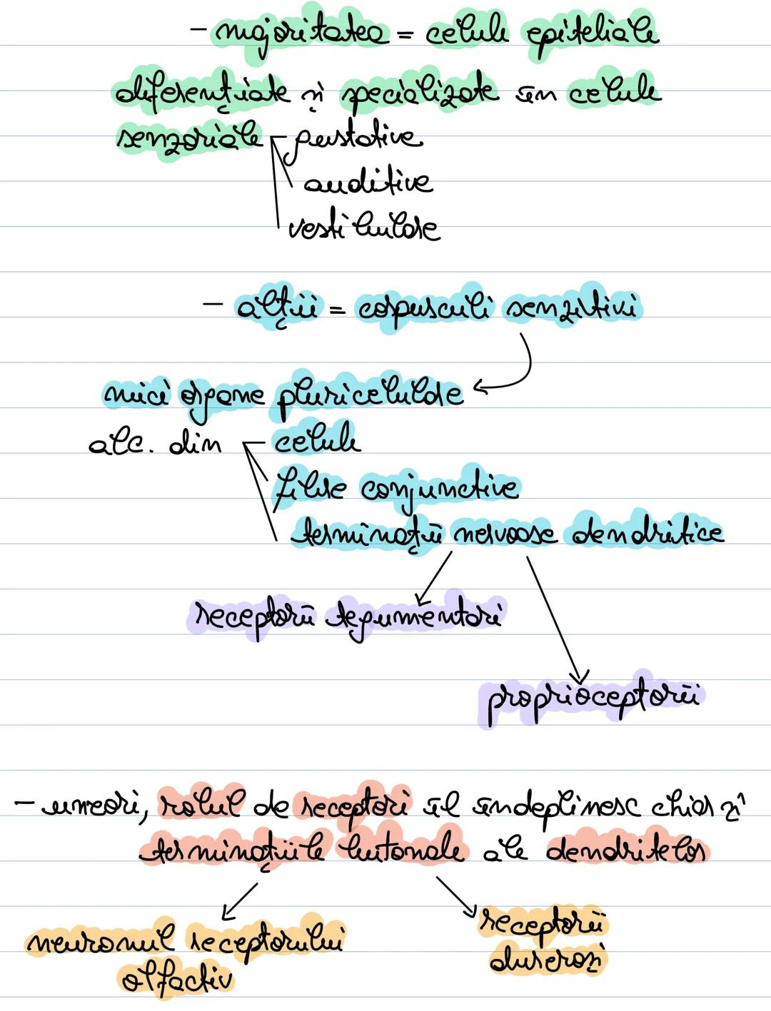 --- OCR Start ---
Reflexul
ACTUL REFLEX / REFLEXUL
= mecomisnuel fundamentel de functio-
de a sistemului nervos.
= reactive de răspuns a cen