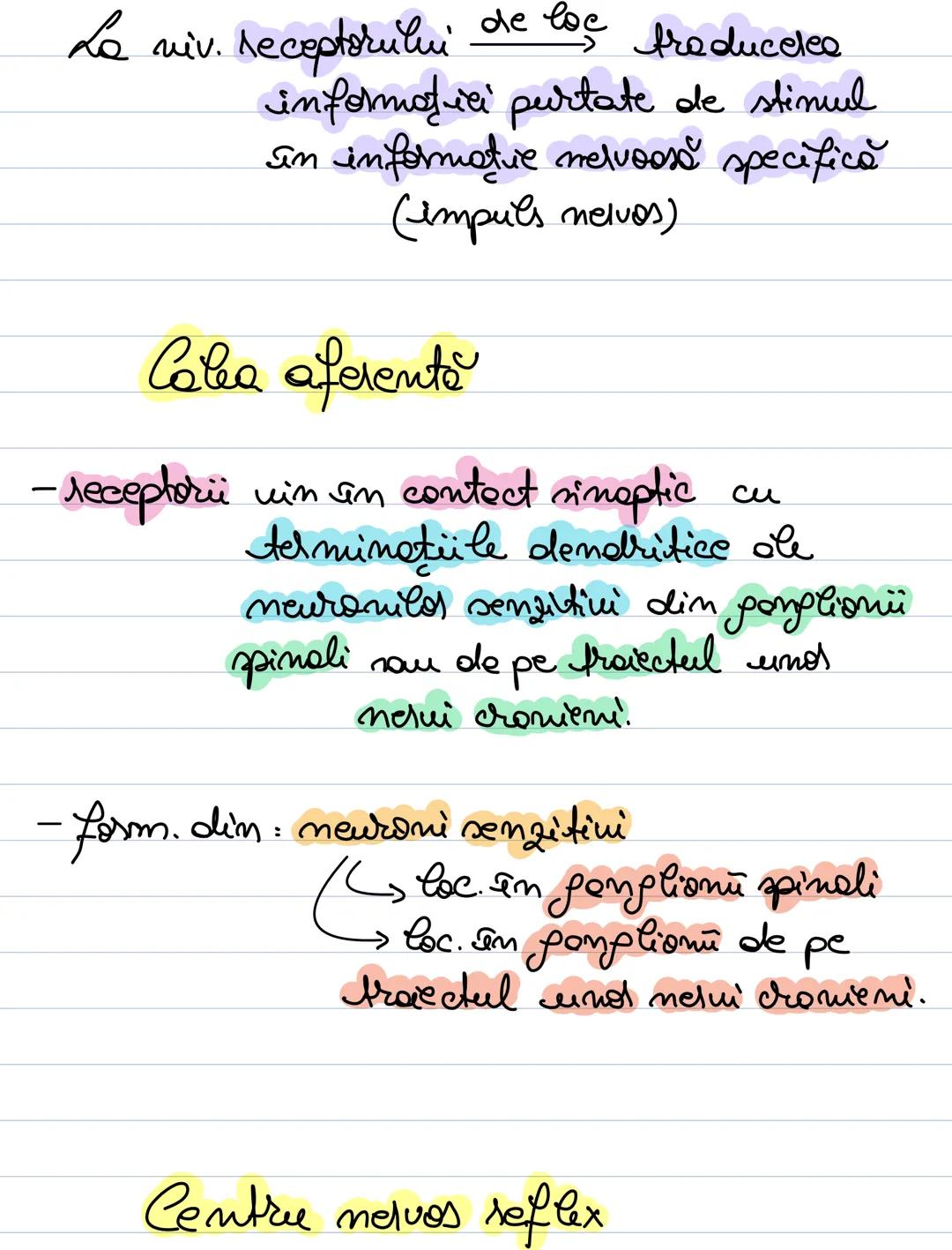 --- OCR Start ---
Reflexul
ACTUL REFLEX / REFLEXUL
= mecomisnuel fundamentel de functio-
de a sistemului nervos.
= reactive de răspuns a cen