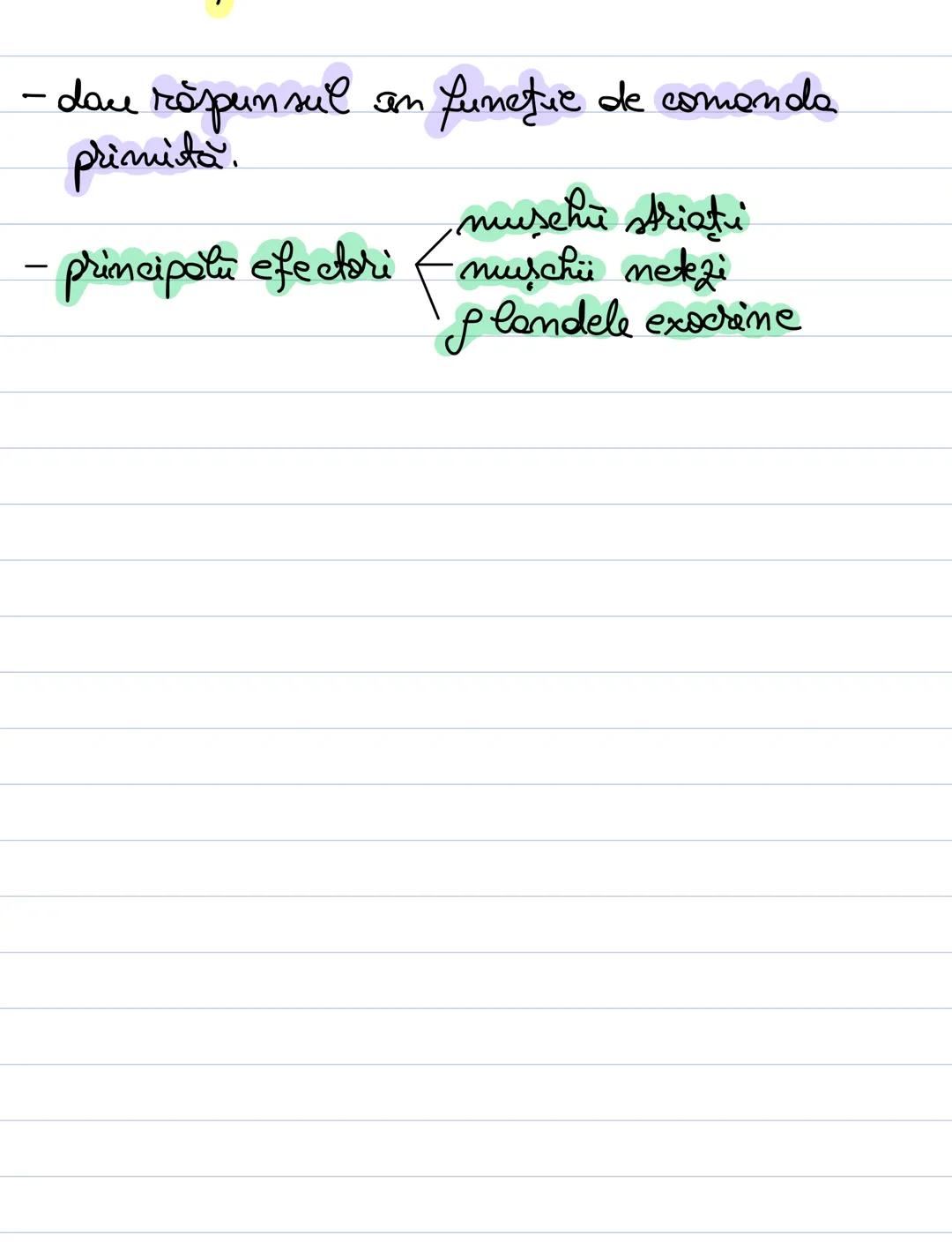 --- OCR Start ---
Reflexul
ACTUL REFLEX / REFLEXUL
= mecomisnuel fundamentel de functio-
de a sistemului nervos.
= reactive de răspuns a cen