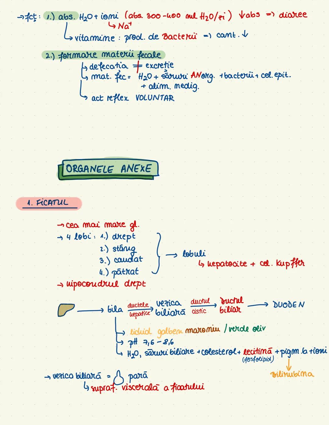 # SISTEMUL
# DIGESTIV
→ descompunere + absorbtie (minerale + H₂O)
→ tract gastroint. + org. amexe
→ cav. orala
→ esofag
→ stomac
→ intestin