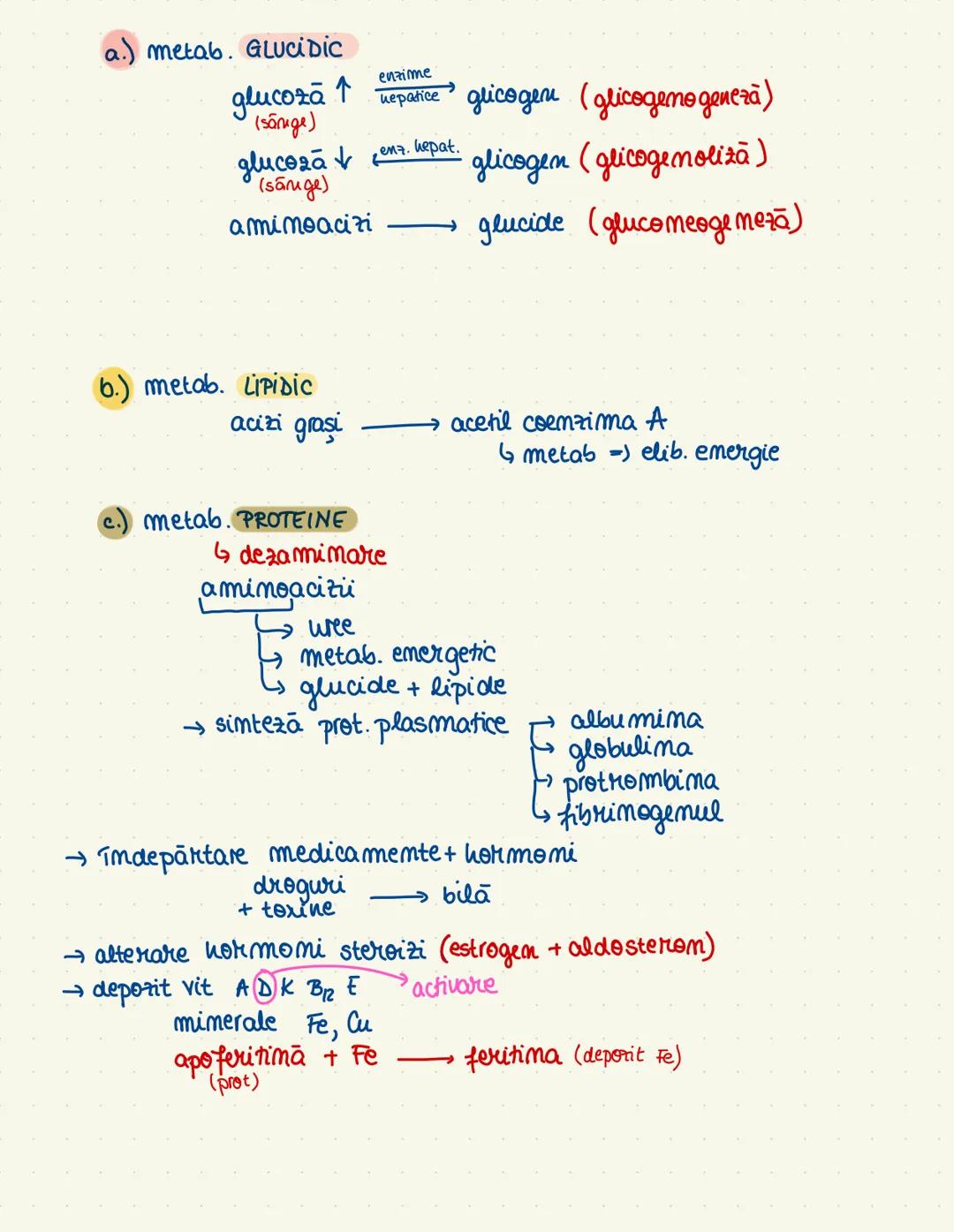 # SISTEMUL
# DIGESTIV
→ descompunere + absorbtie (minerale + H₂O)
→ tract gastroint. + org. amexe
→ cav. orala
→ esofag
→ stomac
→ intestin