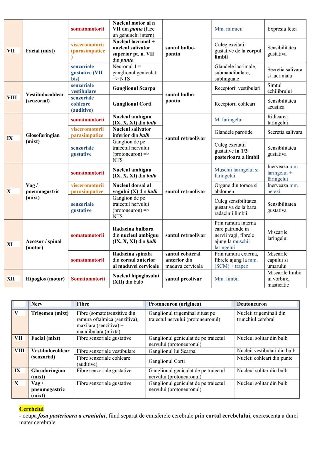 # ALCĂTUIREA CORPULUI UMAN
Topografia organelor si sistemelor de organe
- in corpul omenesc, celulele si tesuturile alcătuiesc organe si si