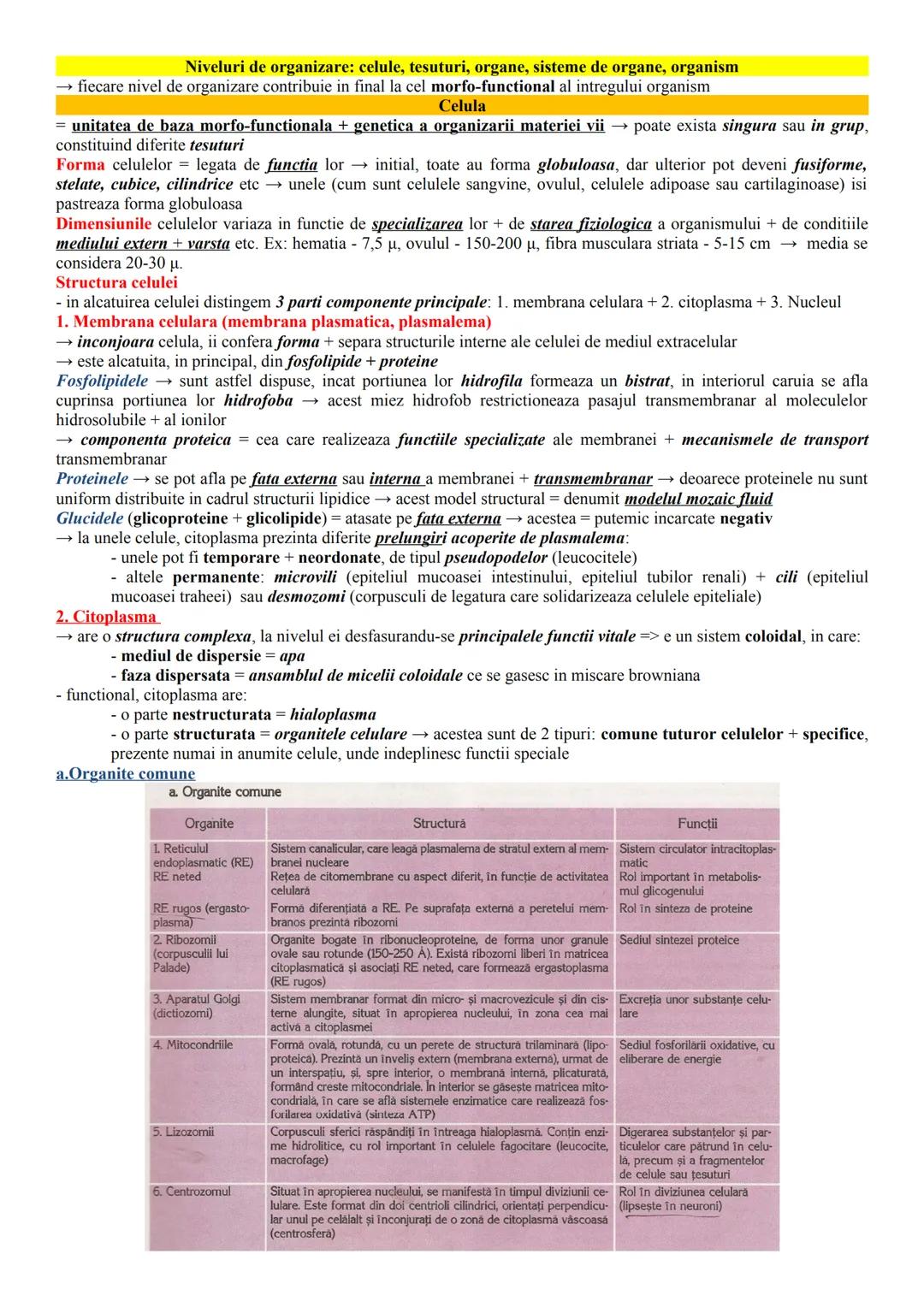 # ALCĂTUIREA CORPULUI UMAN
Topografia organelor si sistemelor de organe
- in corpul omenesc, celulele si tesuturile alcătuiesc organe si si