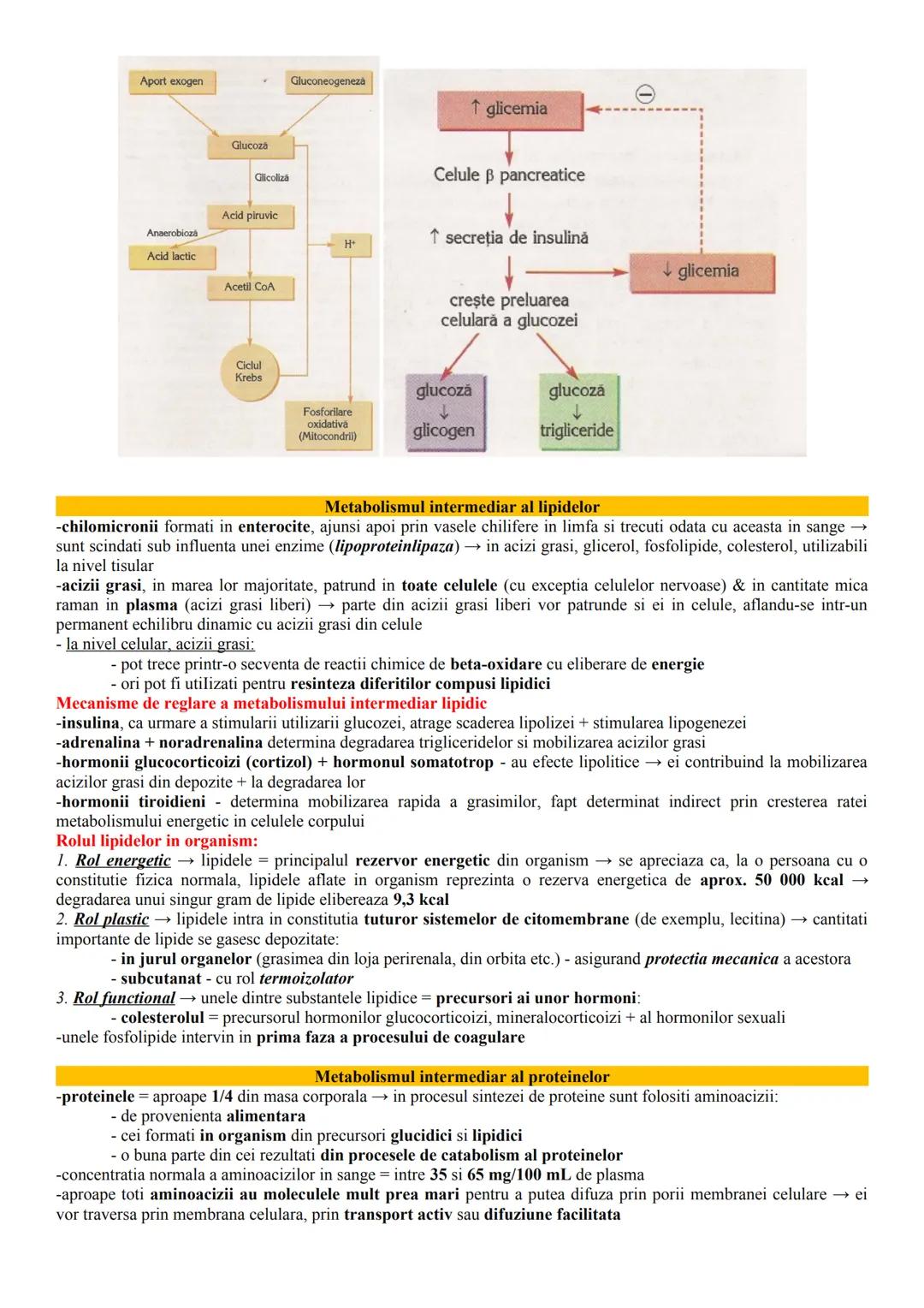 # ALCĂTUIREA CORPULUI UMAN
Topografia organelor si sistemelor de organe
- in corpul omenesc, celulele si tesuturile alcătuiesc organe si si