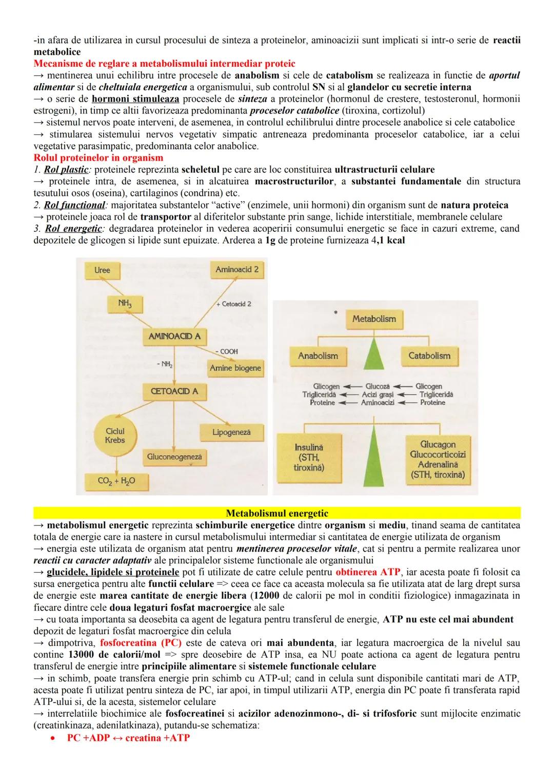 # ALCĂTUIREA CORPULUI UMAN
Topografia organelor si sistemelor de organe
- in corpul omenesc, celulele si tesuturile alcătuiesc organe si si