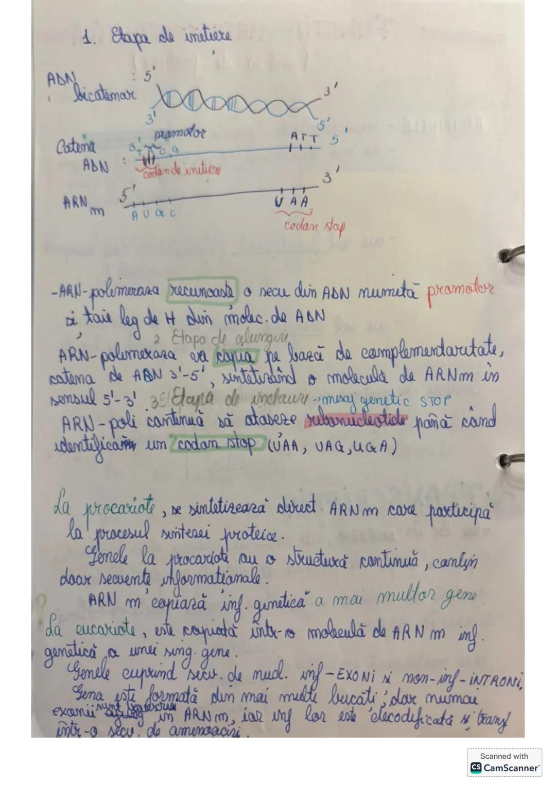 # 1.1 GENETICA MOLECULARĂ
La toate vietuitoarele, materialul genetic este codificat
IN ACIZII NUCLEICI.
ADN
ARN
Akizii nucbici : ~ subst.