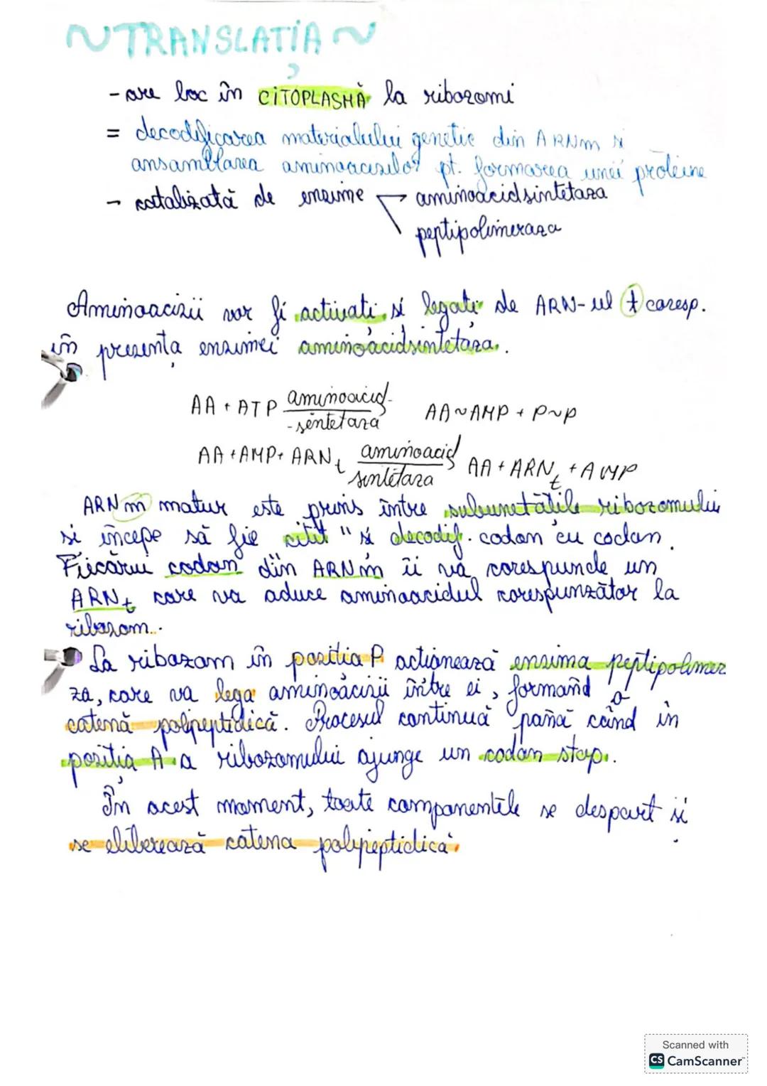 # 1.1 GENETICA MOLECULARĂ
La toate vietuitoarele, materialul genetic este codificat
IN ACIZII NUCLEICI.
ADN
ARN
Akizii nucbici : ~ subst.
