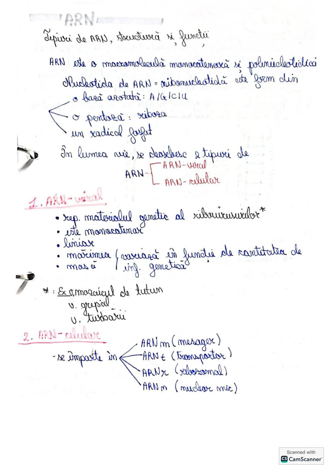 # 1.1 GENETICA MOLECULARĂ
La toate vietuitoarele, materialul genetic este codificat
IN ACIZII NUCLEICI.
ADN
ARN
Akizii nucbici : ~ subst.