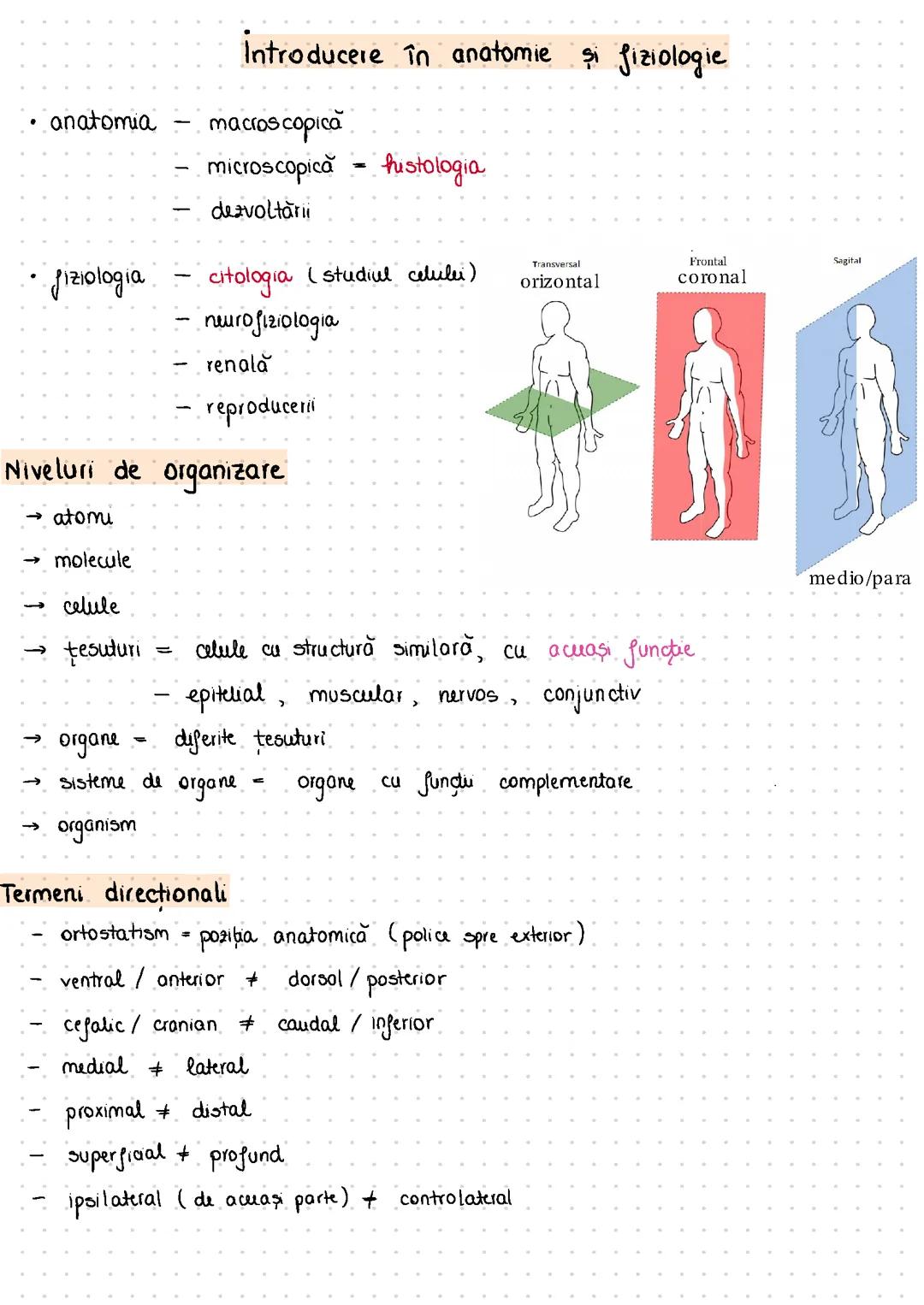 Introducere în anatomie și fiziologie