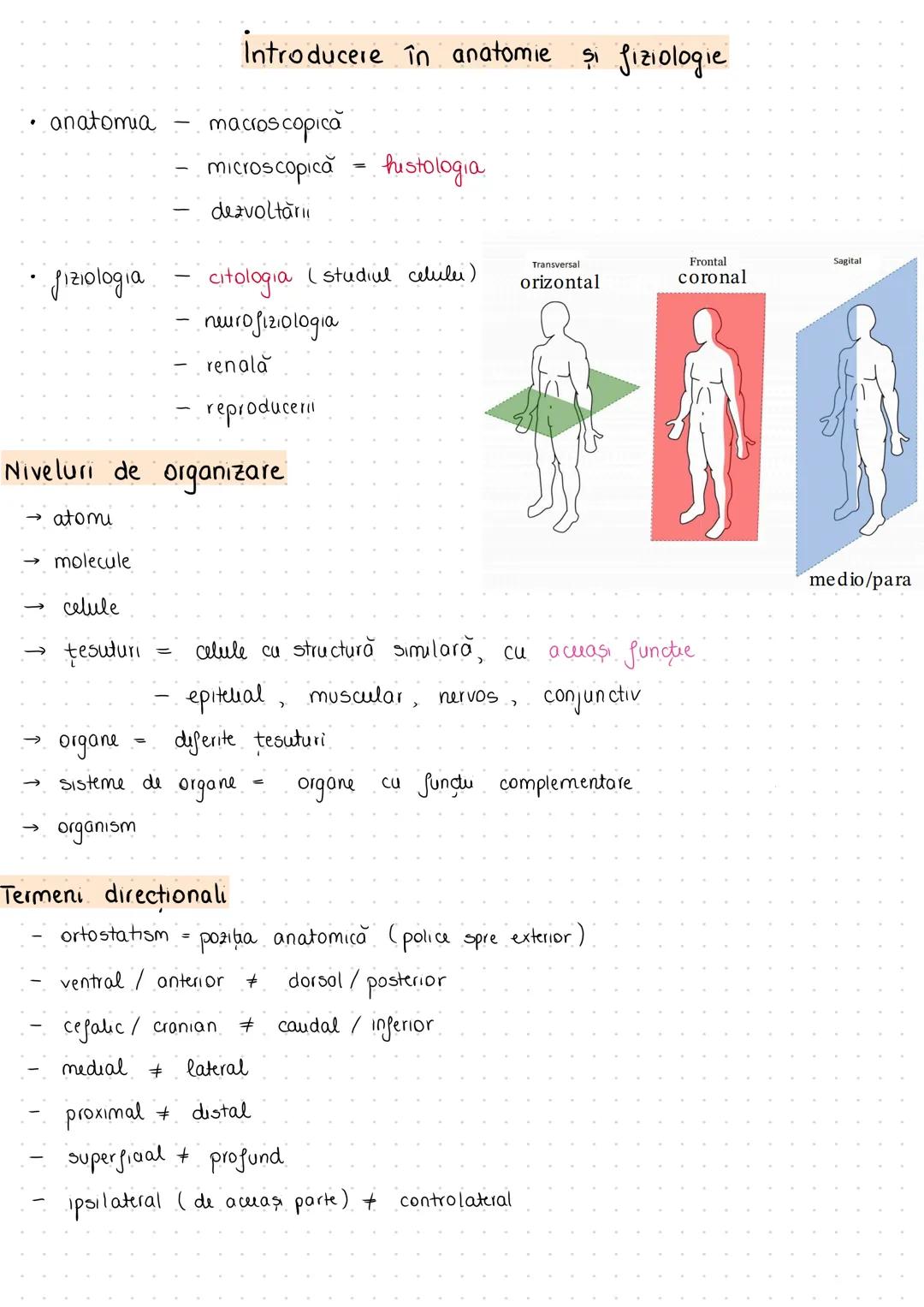 --- OCR Start ---
anatomia
Introducere în anatomie şi fiziologie
macroscopică
microscopică = histologia
dezvoltării
fiziologia
citologia (st