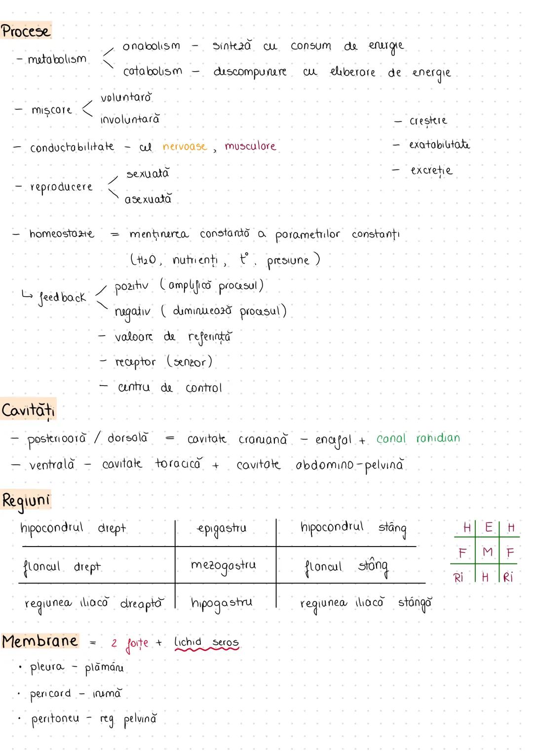 --- OCR Start ---
anatomia
Introducere în anatomie şi fiziologie
macroscopică
microscopică = histologia
dezvoltării
fiziologia
citologia (st