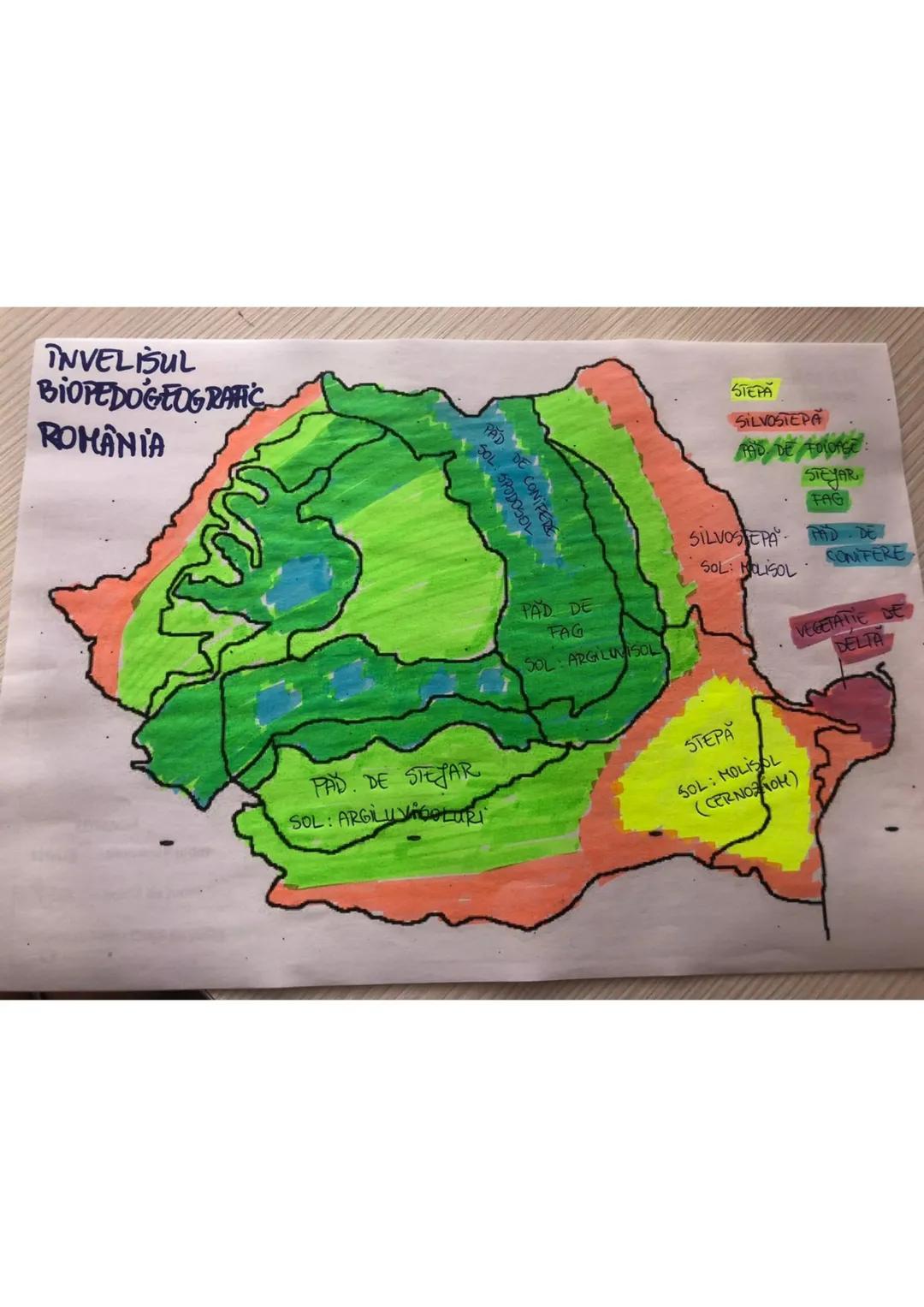 --- OCR Start ---
LIMITE
V-OCEANUL
ATLANTIC
Capl
Roca
N-OCEANUL
ARCTIC
Copul Nord
UNCARIA
UCRAINA
GERBIETY PULGARIA
NEAGRA
Capul Tarif
capit