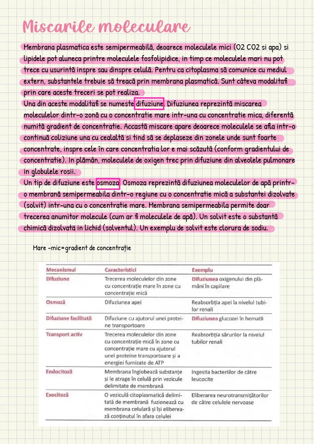 Medicina # Capitolul unu
Introducere în anatomie si
fiziologie
Anatomie
ANATOMIA MaCROSCOPICA STUDIAZA STRUCTURILE CORPULUI CARE SUNT VIZIBI