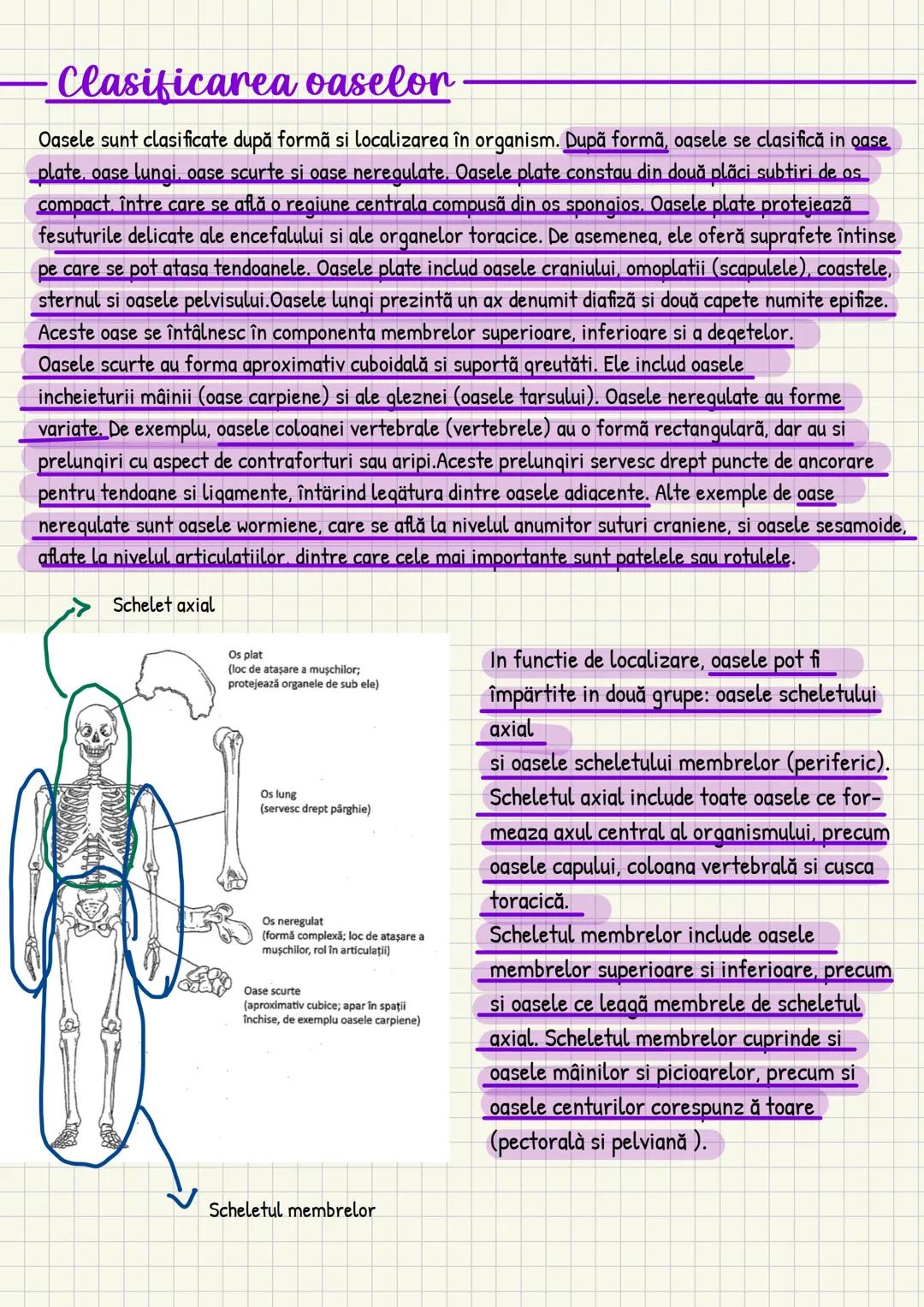 Medicina # Capitolul unu
Introducere în anatomie si
fiziologie
Anatomie
ANATOMIA MaCROSCOPICA STUDIAZA STRUCTURILE CORPULUI CARE SUNT VIZIBI