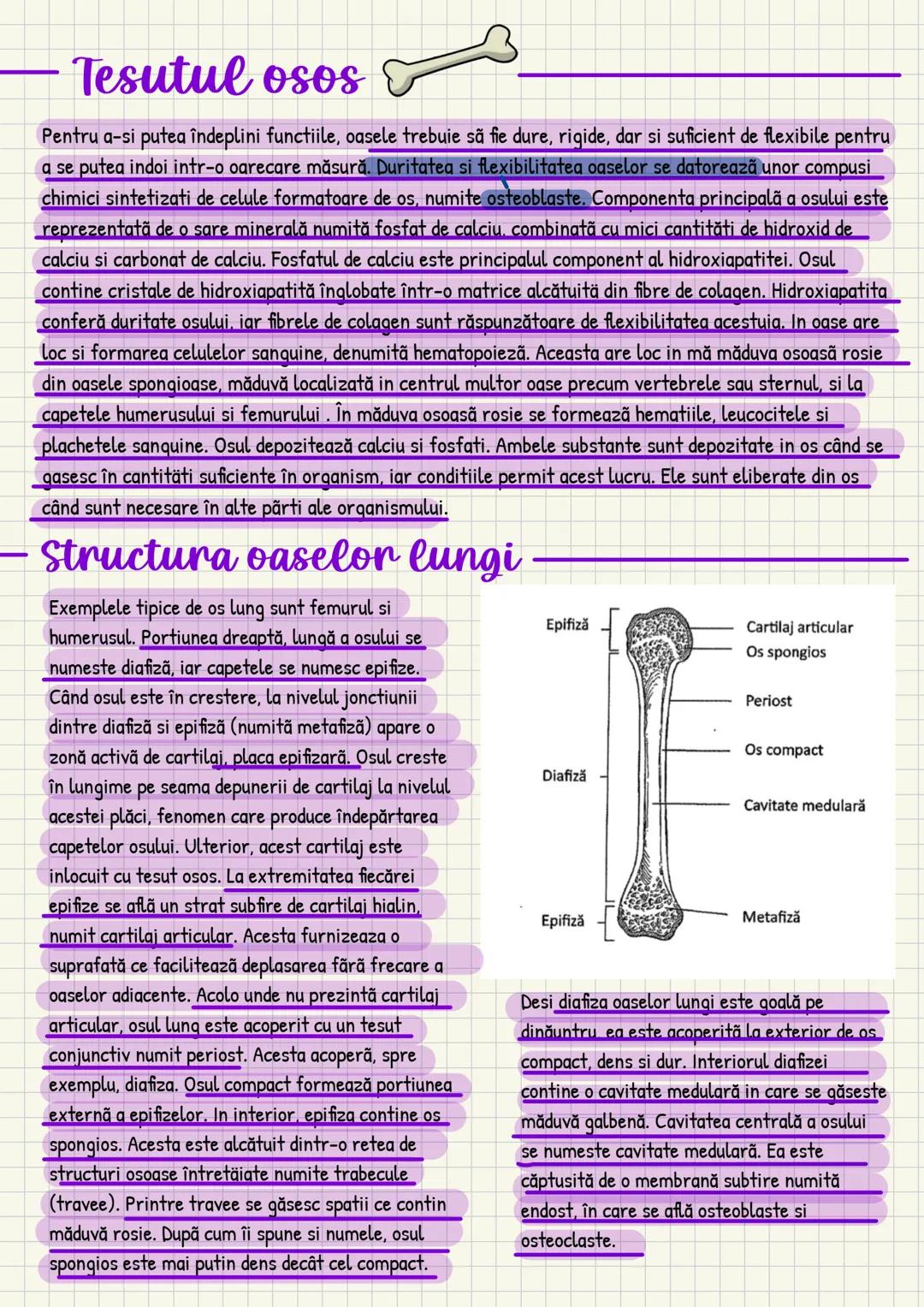 Medicina # Capitolul unu
Introducere în anatomie si
fiziologie
Anatomie
ANATOMIA MaCROSCOPICA STUDIAZA STRUCTURILE CORPULUI CARE SUNT VIZIBI