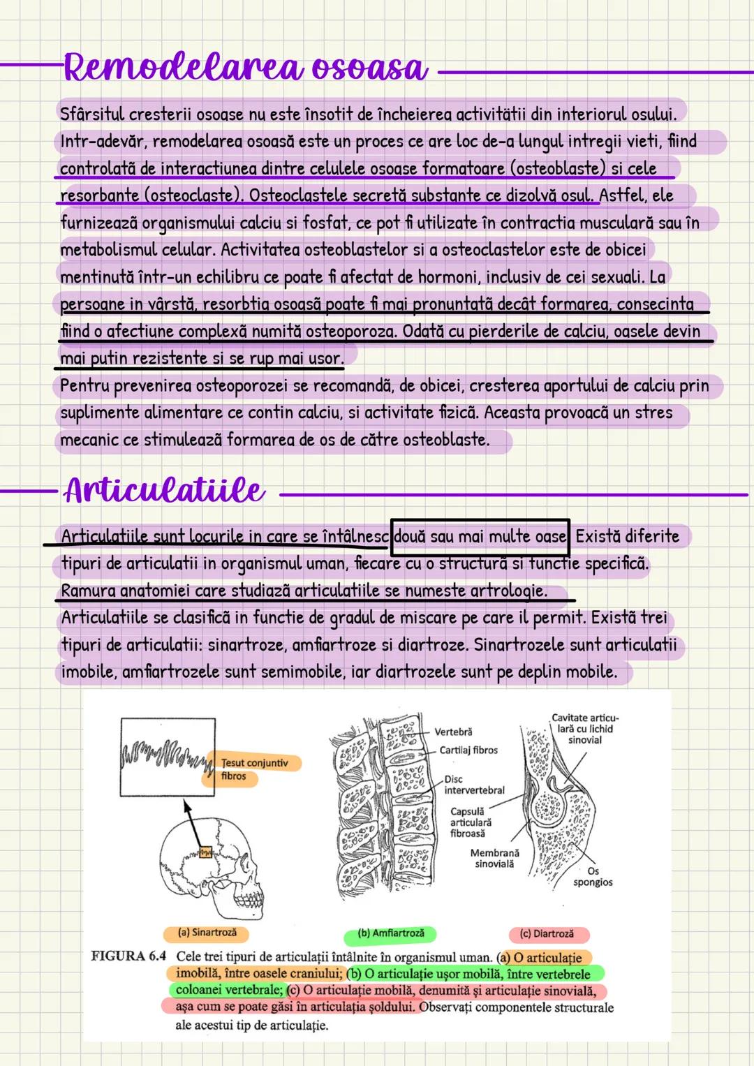 Medicina # Capitolul unu
Introducere în anatomie si
fiziologie
Anatomie
ANATOMIA MaCROSCOPICA STUDIAZA STRUCTURILE CORPULUI CARE SUNT VIZIBI