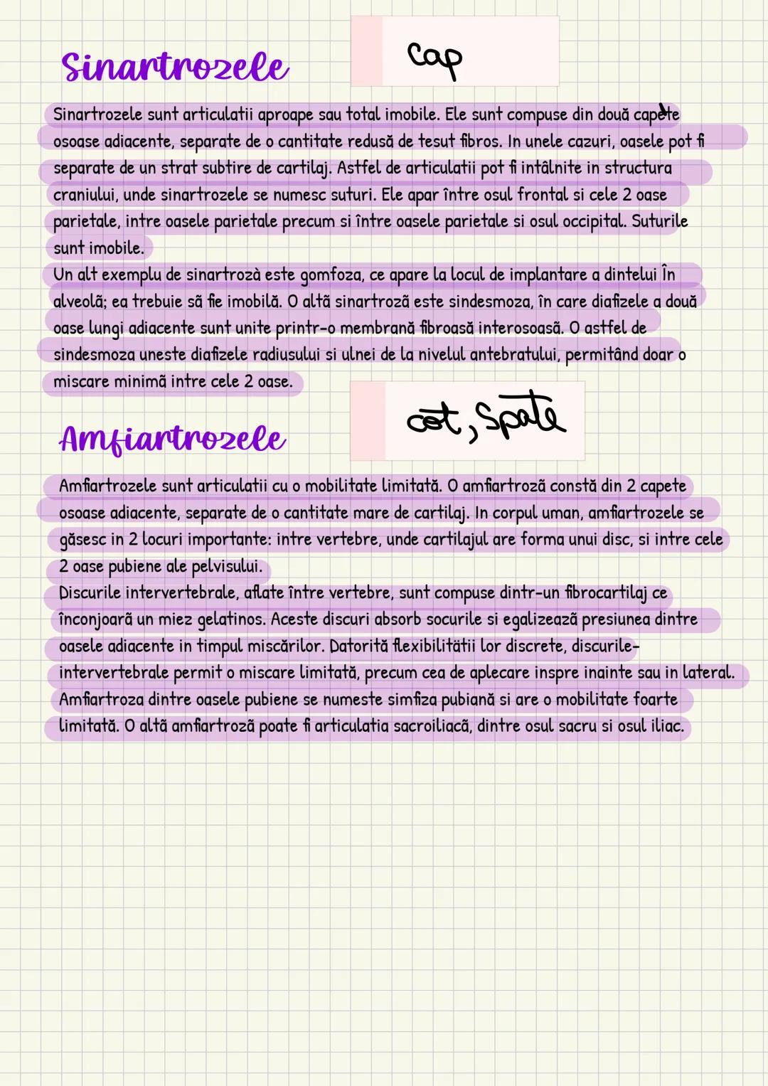 Medicina # Capitolul unu
Introducere în anatomie si
fiziologie
Anatomie
ANATOMIA MaCROSCOPICA STUDIAZA STRUCTURILE CORPULUI CARE SUNT VIZIBI