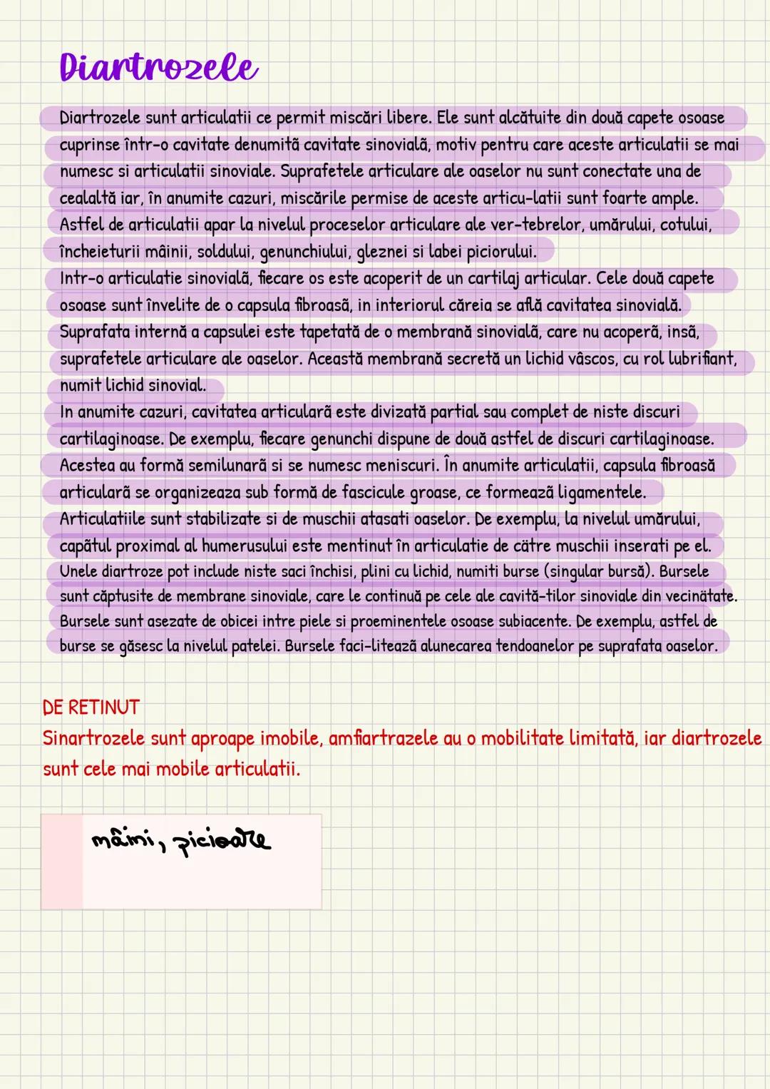 Medicina # Capitolul unu
Introducere în anatomie si
fiziologie
Anatomie
ANATOMIA MaCROSCOPICA STUDIAZA STRUCTURILE CORPULUI CARE SUNT VIZIBI