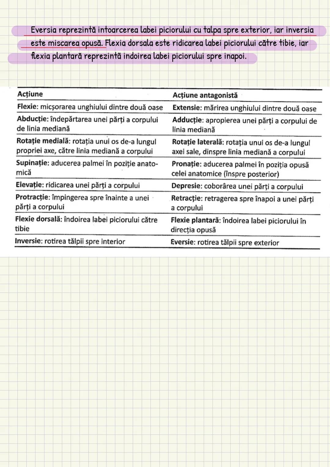 Medicina # Capitolul unu
Introducere în anatomie si
fiziologie
Anatomie
ANATOMIA MaCROSCOPICA STUDIAZA STRUCTURILE CORPULUI CARE SUNT VIZIBI