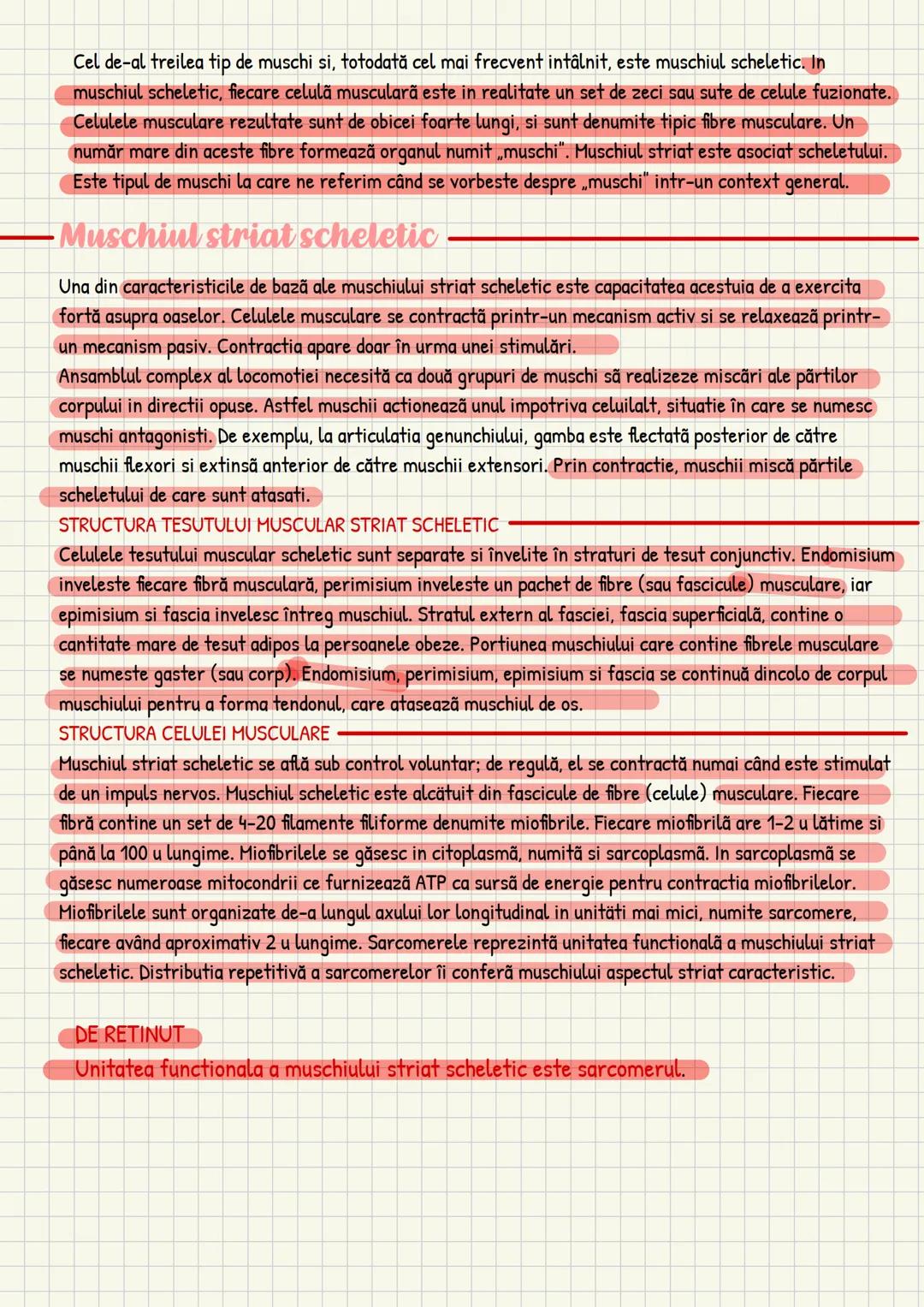 Medicina # Capitolul unu
Introducere în anatomie si
fiziologie
Anatomie
ANATOMIA MaCROSCOPICA STUDIAZA STRUCTURILE CORPULUI CARE SUNT VIZIBI