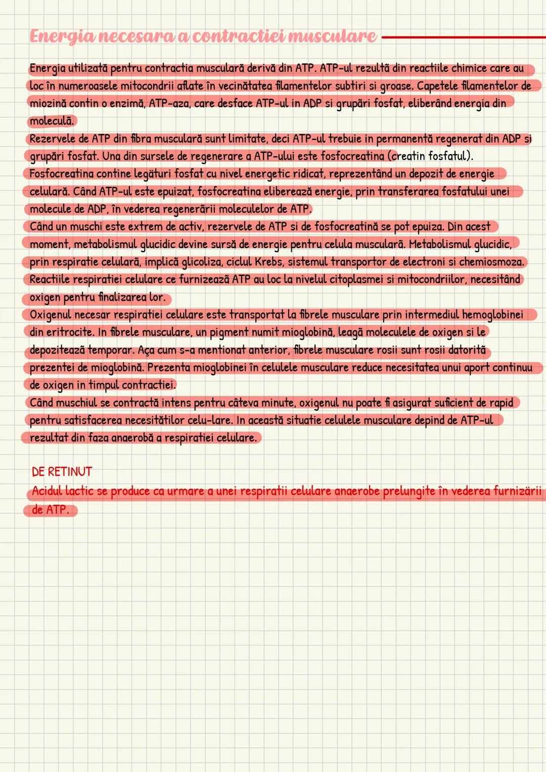 Medicina # Capitolul unu
Introducere în anatomie si
fiziologie
Anatomie
ANATOMIA MaCROSCOPICA STUDIAZA STRUCTURILE CORPULUI CARE SUNT VIZIBI