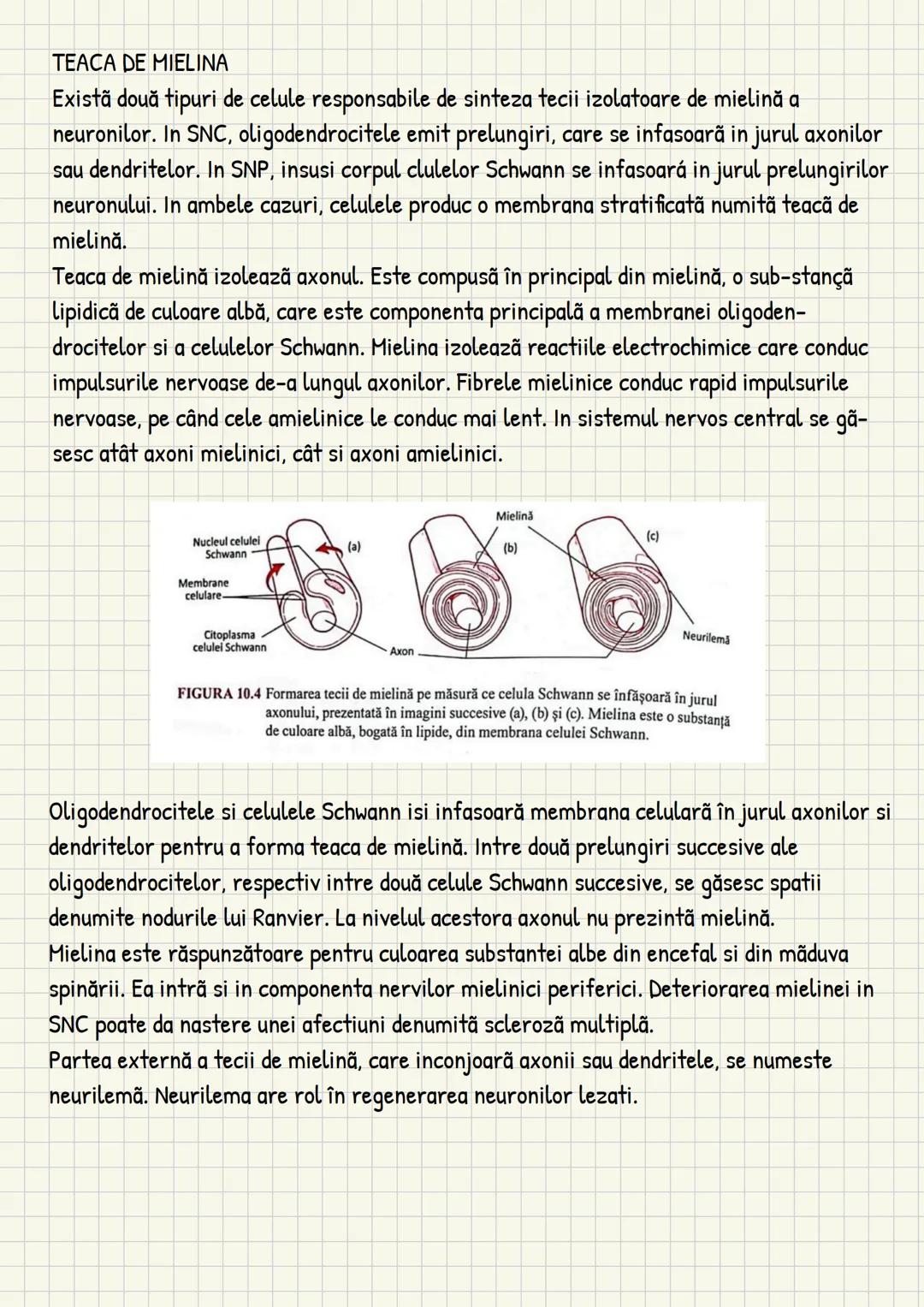 Medicina # Capitolul unu
Introducere în anatomie si
fiziologie
Anatomie
ANATOMIA MaCROSCOPICA STUDIAZA STRUCTURILE CORPULUI CARE SUNT VIZIBI